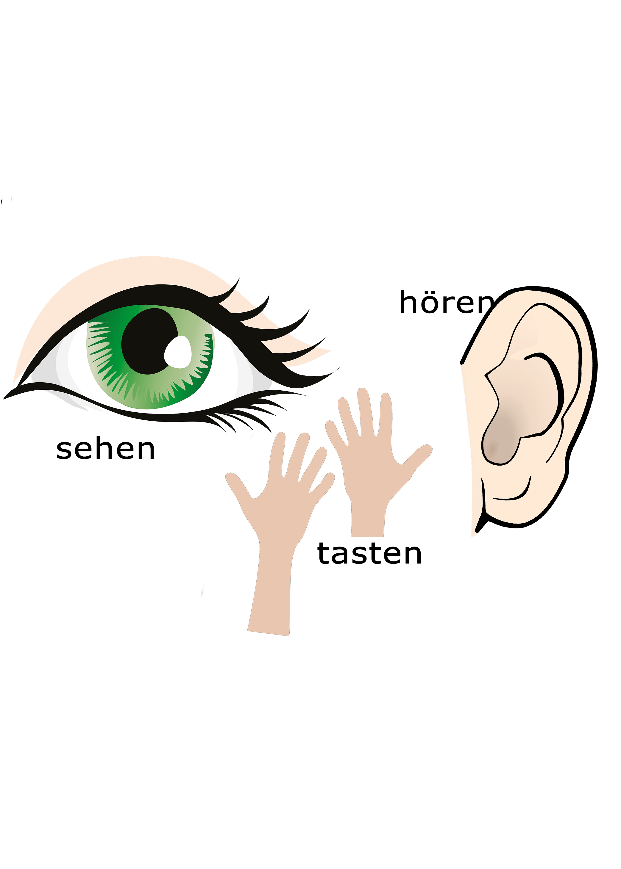Die Psychologie des Lernens - Sehen, Hören und Tasten