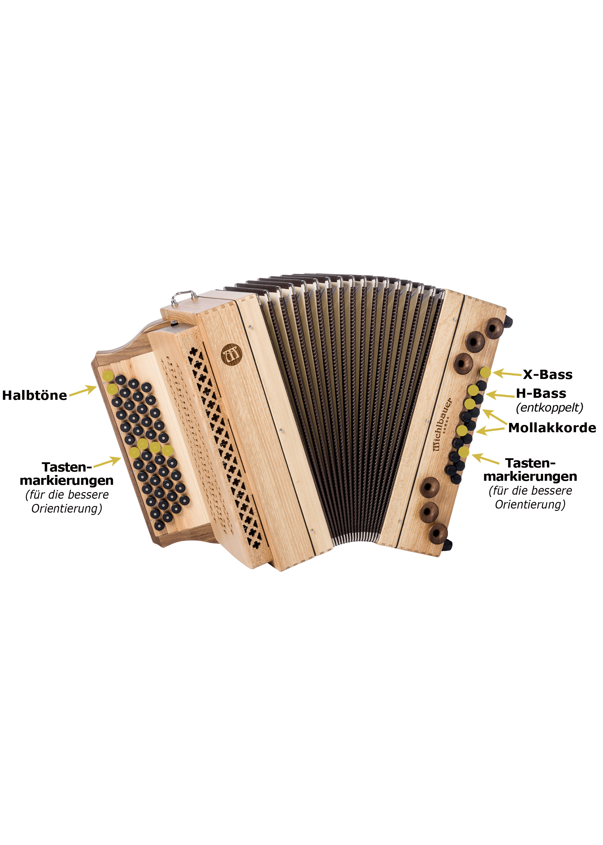 Unsere Steirischen Harmonikas haben je nach Modell folgende technische Ausstattung: Halbtöne, Mollakkorde, X-Bass, H-Bass und Tastenmarkierungen für die bessere Orientierung